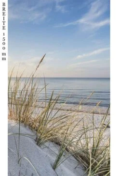 Schulte Decodesign Duschrückwand Foto Strandhafer -Badmobel Verkauf 15784 3