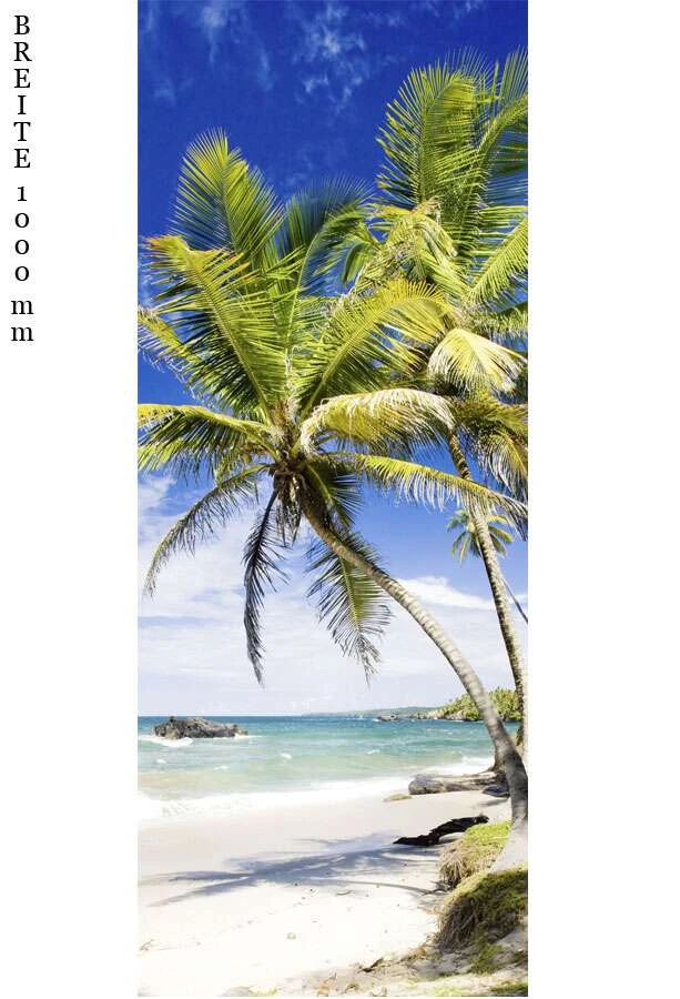 Schulte Decodesign Duschrückwand Foto Palmenstrand 5 Schulte Decodesign Duschrückwand Foto Palmenstrand – Bild 3