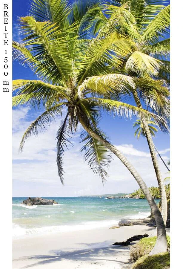 Schulte Decodesign Duschrückwand Foto Palmenstrand 6 Schulte Decodesign Duschrückwand Foto Palmenstrand – Bild 4