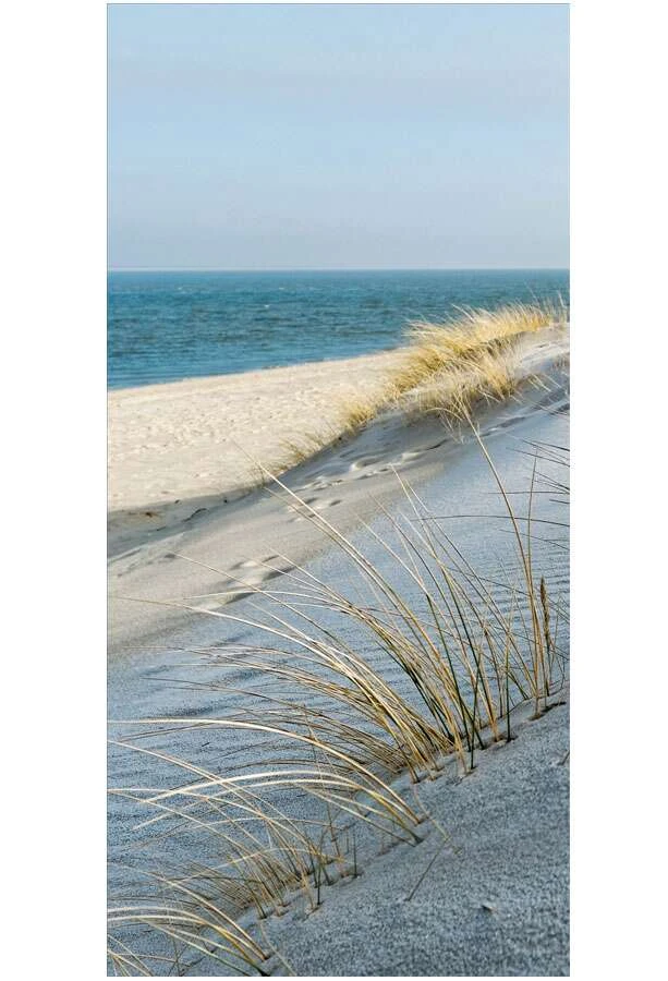 Duschmeister Duschrückwand Badrückwand Folie Motiv Strandhafer 3 Duschmeister Duschrückwand Badrückwand Folie Motiv Strandhafer